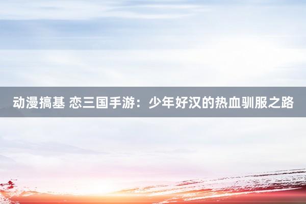 动漫搞基 恋三国手游：少年好汉的热血驯服之路