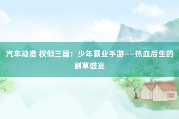 汽车动漫 权倾三国：少年霸业手游——热血后生的割草盛宴