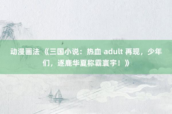 动漫画法 《三国小说：热血 adult 再现，少年们，逐鹿华夏称霸寰宇！》